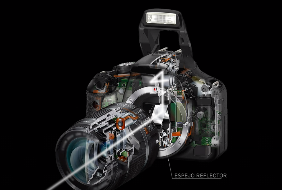 Reflex