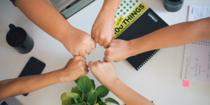 Organización de equipo de trabajo