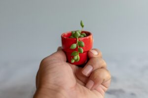 jardines pequeños espacios