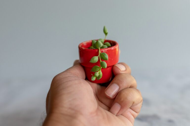 jardines pequeños espacios