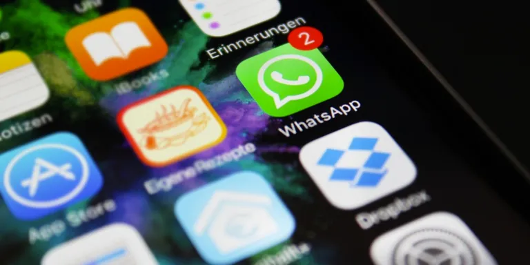Todo lo que Necesitas Saber: Guía Práctica de WhatsApp Business API
