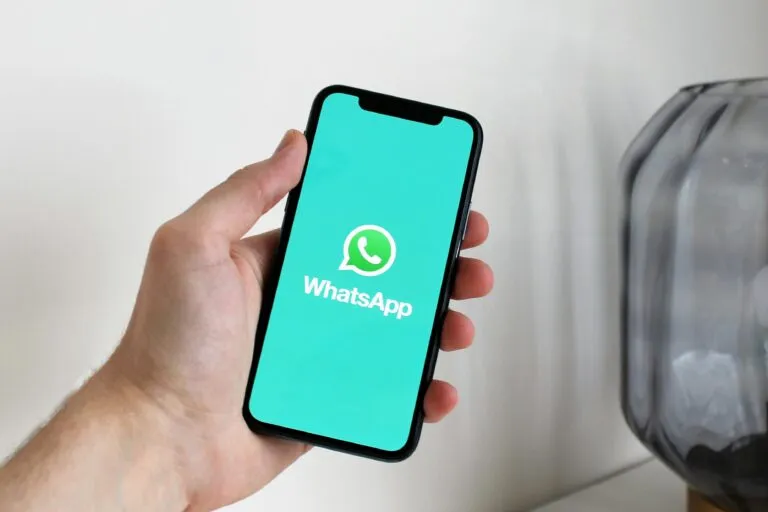 Cómo crear un catalogo WP Bussines API